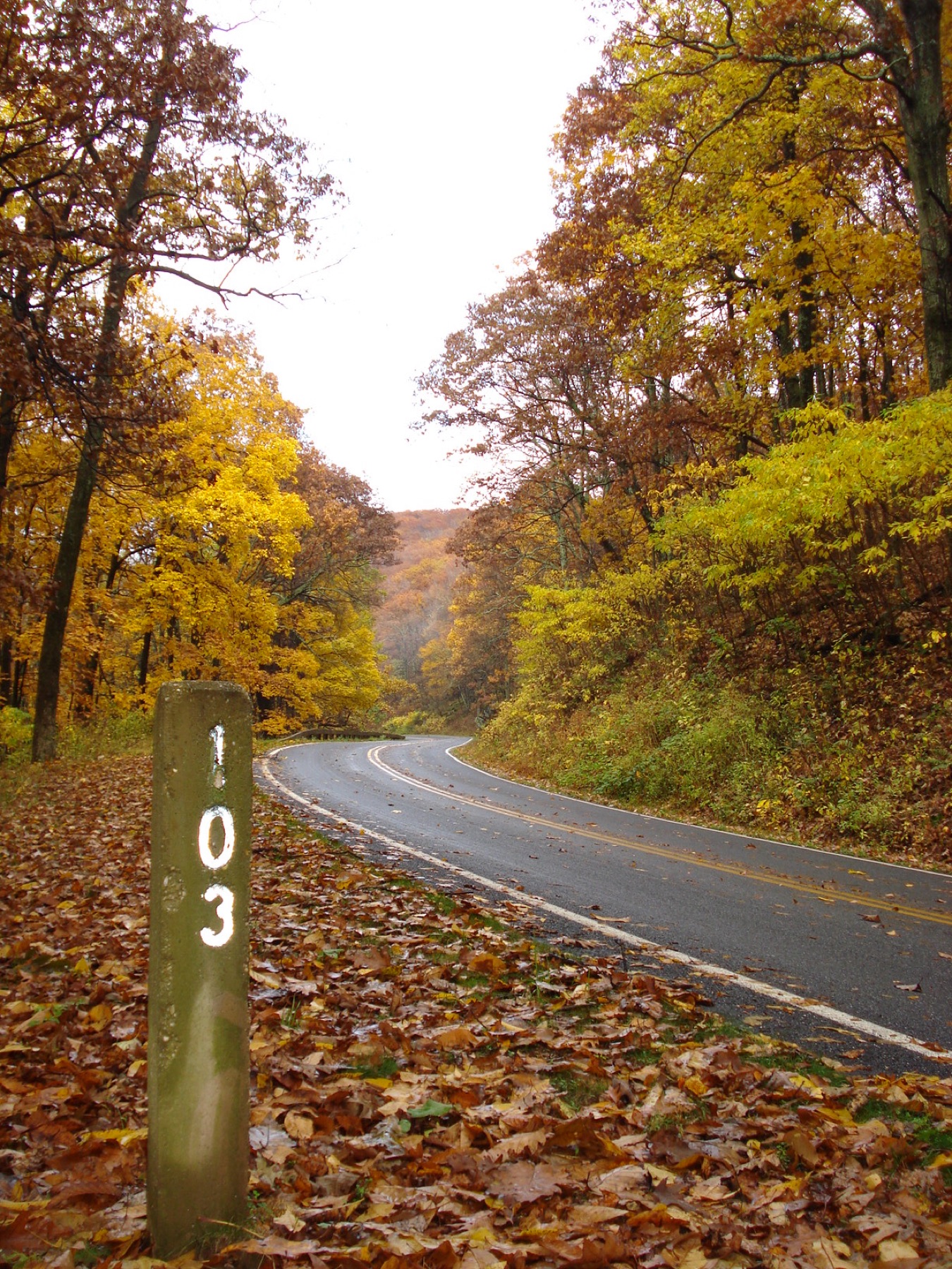 Skyline Drive in fall colour
